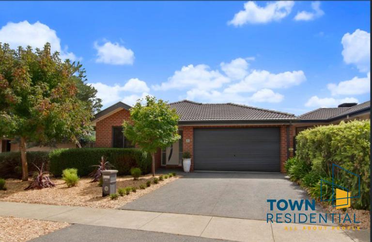 41 Flos Greig Street, WATSON  ACT  2602