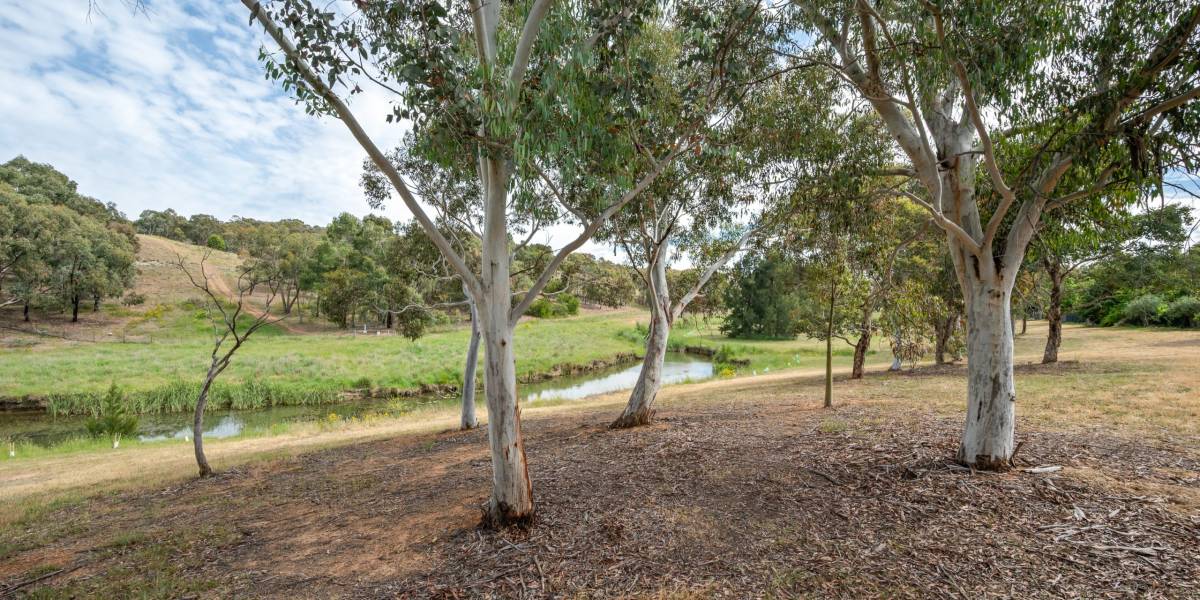 52 Kangaroo Close, NICHOLLS, ACT 2913 AUS