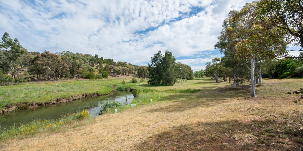 52 Kangaroo Close, NICHOLLS, ACT 2913 AUS