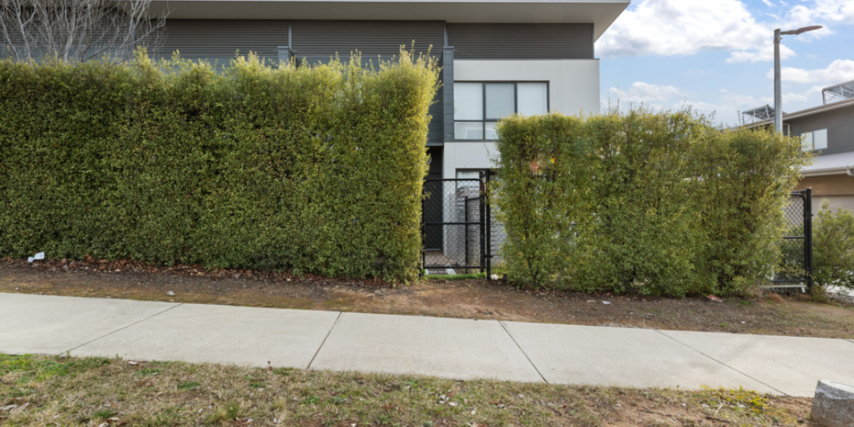 16/2 Pipeclay Street, LAWSON, ACT 2617 AUS